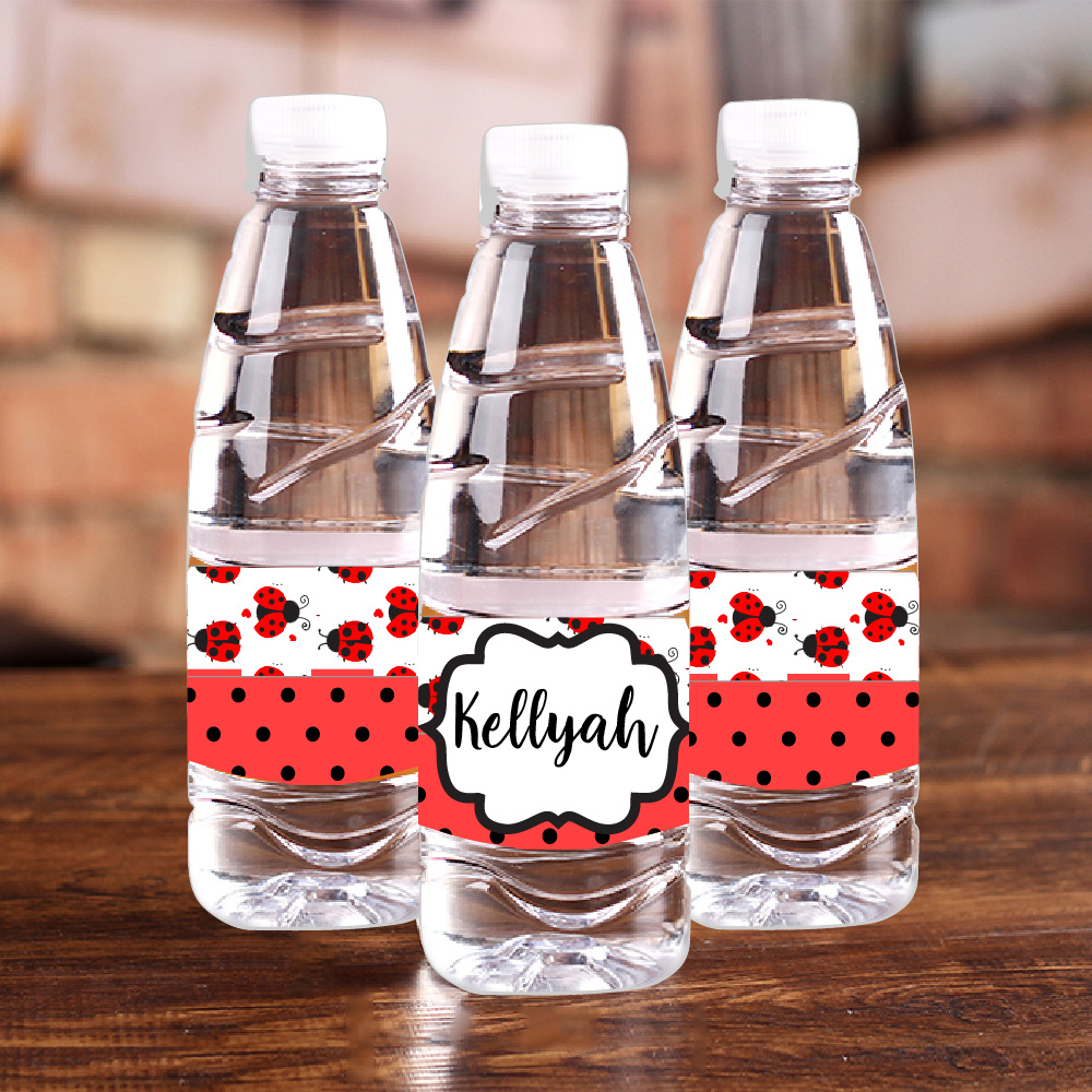 Personalised Ladybug Red Polka - Car Accessories Name บทวิจารณ์และราคา
